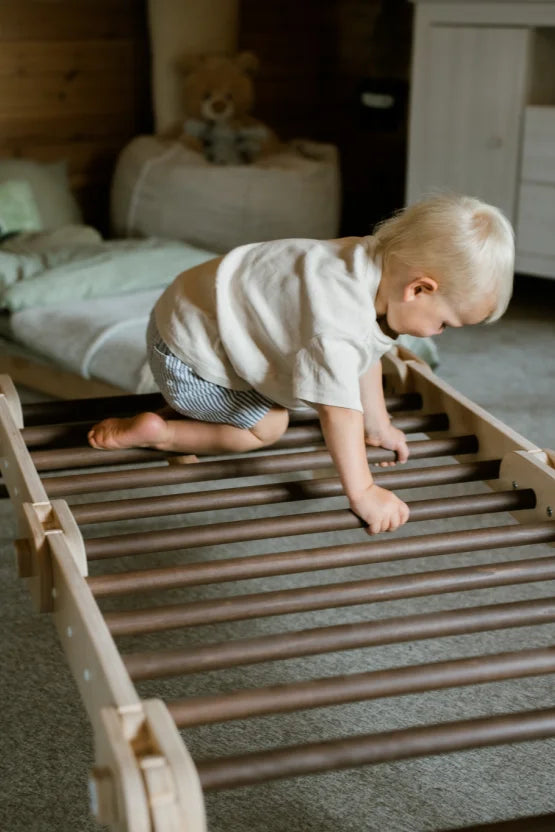 Brown Climber, transformierbares Dreieck mit Rampe